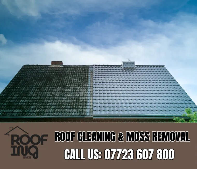 Roof cleaning and moss removal in Polzeath